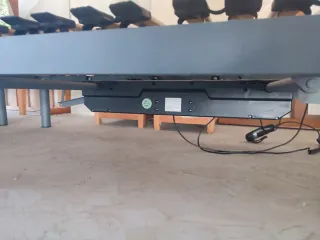 Par de camas articuladas eléctricas