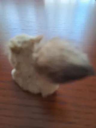 Sacapuntas Ardilla con Bola Verde