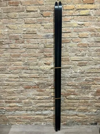 Esquís Nórdicos Fischer LS 190cm