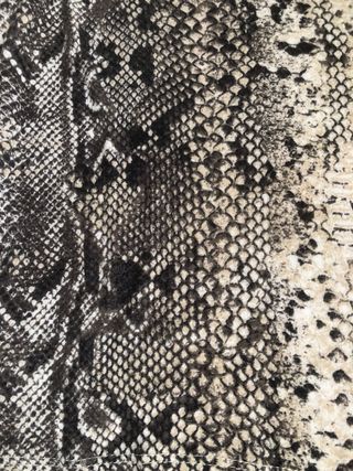 Camiseta manga larga estampado serpiente