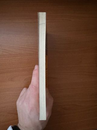 I misteri dello scarabeo d’oro - L’amuleto magico