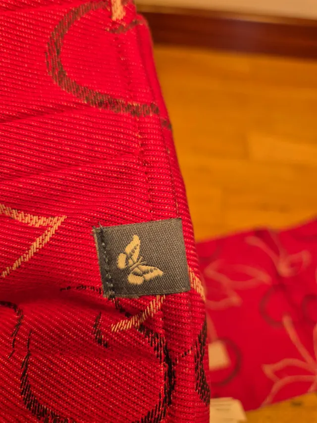 Protector dentición