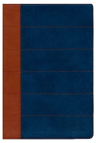 Biblia Thompson Reina Valera 1960 edición espec...