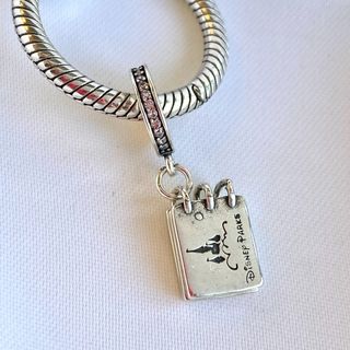 CHARM DISNEY LIBRO FIRMAS DISNEYLAND