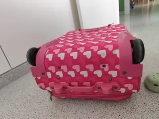 Maleta de viaje con corazones