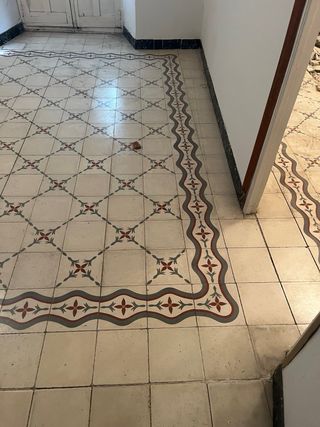 Baldosas hidráulicas decorativas