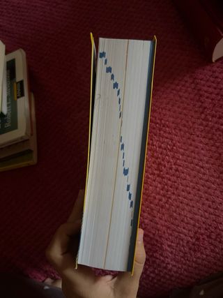 Dicc. Primària Valencià (Catalan Edition)