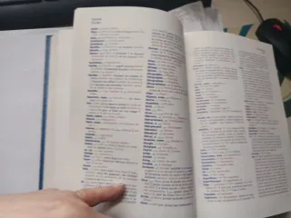 Le petit Espasa diccionario español francés-