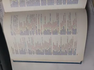 Le petit Espasa diccionario español francés-