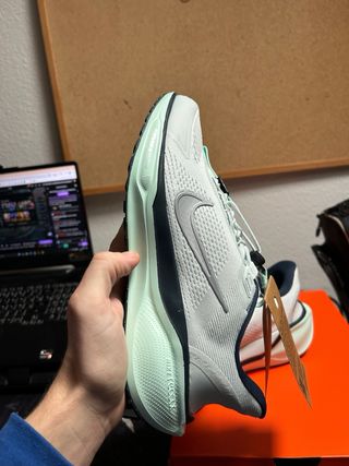 Nike Pegasus Easyon hombre Talla 42,5