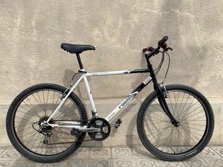 Bicicleta de montaña Raider