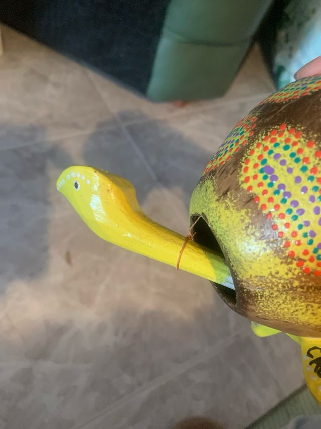 Hucha Rana y Tortuga Cabo Verde