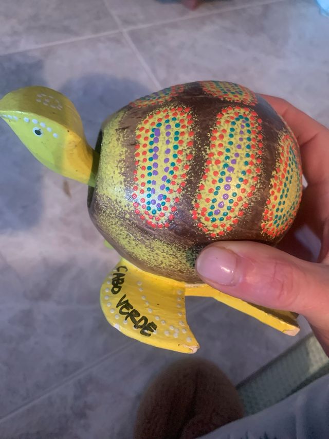 Hucha Rana y Tortuga Cabo Verde