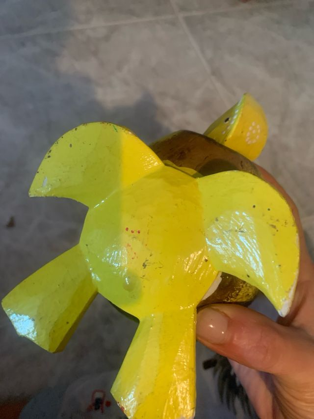 Hucha Rana y Tortuga Cabo Verde