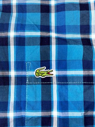 Camisa Lacoste Manga Corta Logo Bordado