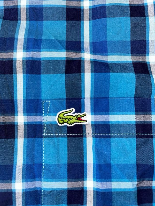 Camisa Lacoste Manga Corta Logo Bordado