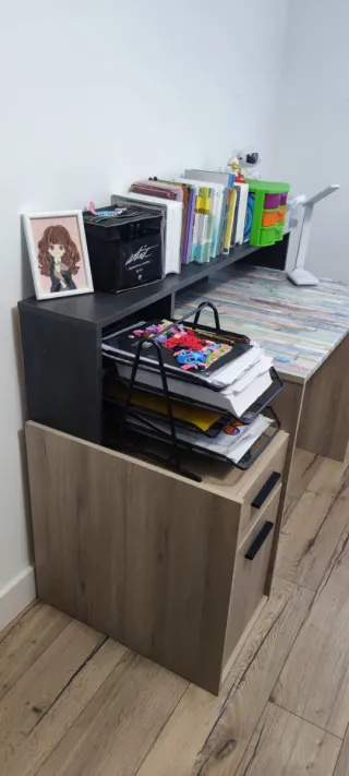 Cama tren con cajones y armario.