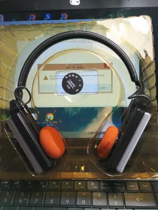 Radio Auricular Slim AM Newtone Años 70