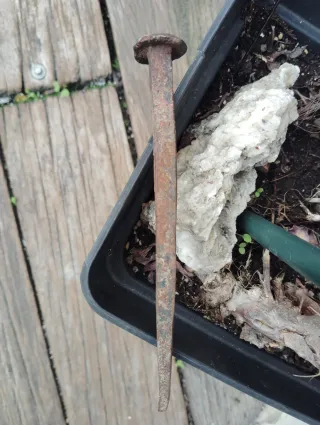 Clavo de forja antiguo