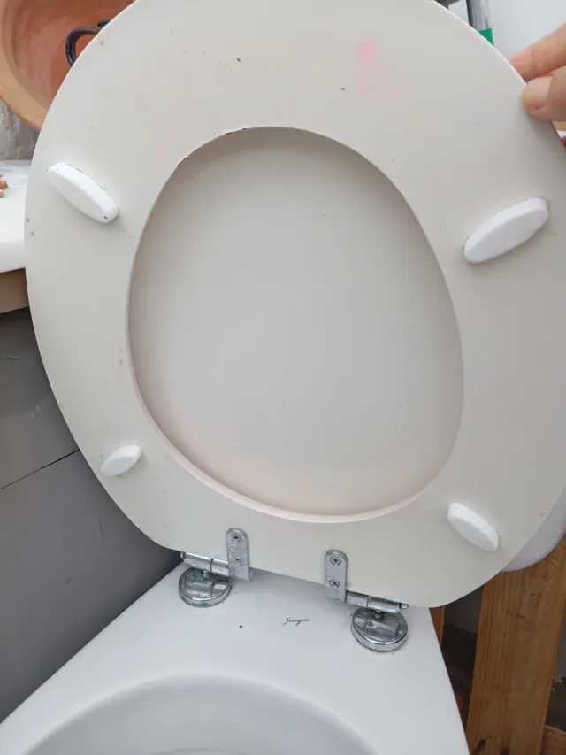 Inodoro blanco de porcelana