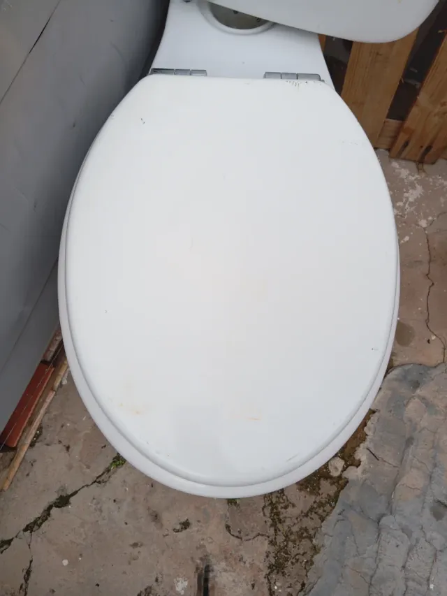 Inodoro blanco de porcelana