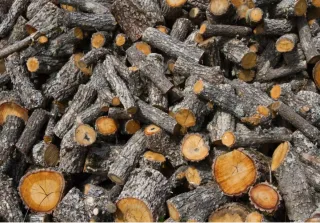 Leña para chimenea o barbacoa