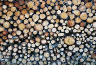 Leña para chimenea o barbacoa