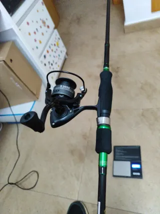 Calamar , sepia ,carbono 180cm