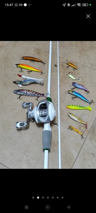 Calamar , sepia ,carbono 180cm