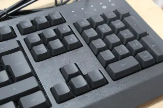 Teclado Gaming Razer Cynosa Lite