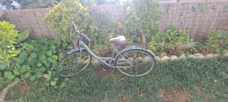 Bicicleta de paseo para adulto