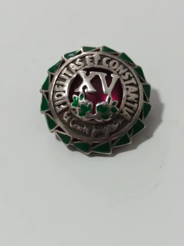 Insegna d'argento con smalto verde