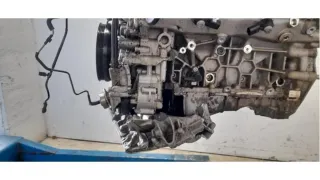 Motor Lamborghini Urus 4.0 V8