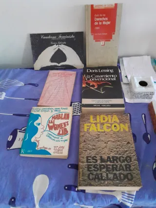 Libros temática feminista
