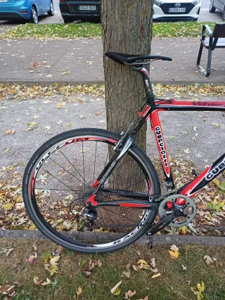 Bicicleta Ciclocross carbono