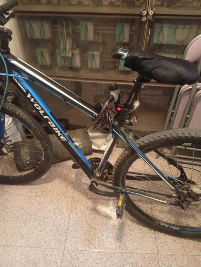Bicicleta de Montaña WOLFBIKE