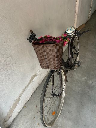 Bicicleta de paseo mujer