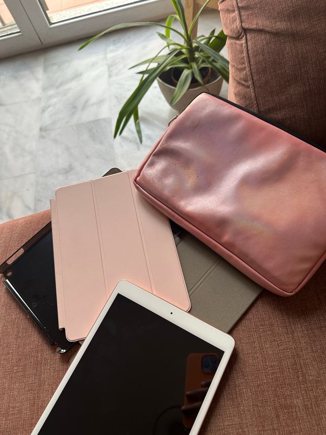 iPad 8ª Generazione Rosa e Grigio