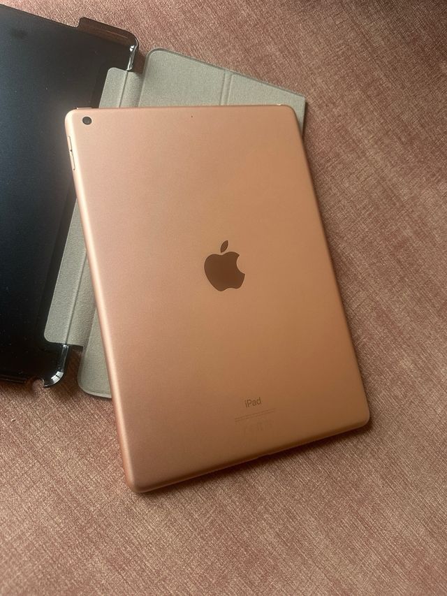 iPad 8ª Generazione Rosa e Grigio
