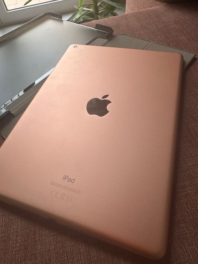 iPad 8ª Generazione Rosa e Grigio