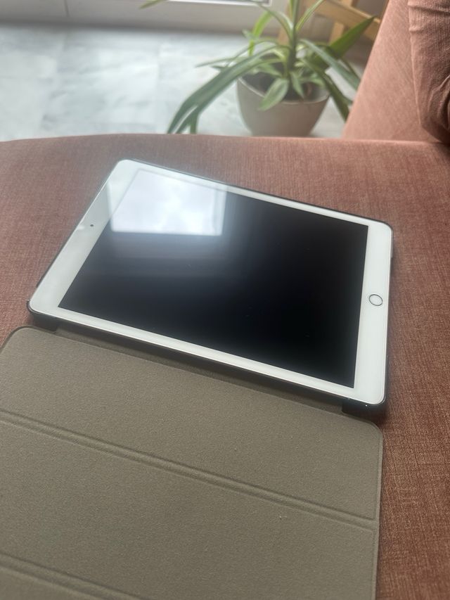 iPad 8ª Generazione Rosa e Grigio