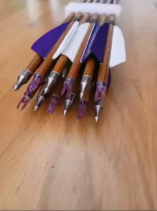 Flechas de carbono con plumaje púrpura