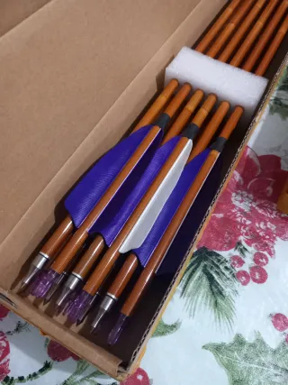 Flechas de carbono con plumaje púrpura