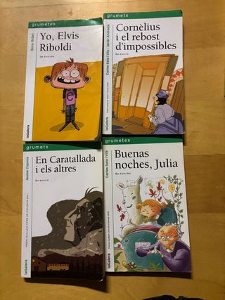 Lote libros catalán y castellano