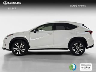 Lexus NX 2.5 300h Premium 2WD