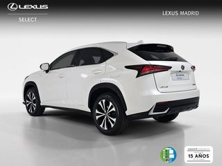 Lexus NX 2.5 300h Premium 2WD