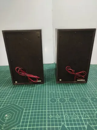 Pareja de altavoces negros