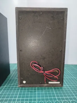 Pareja de altavoces negros