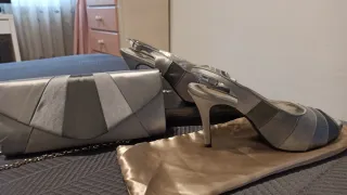 Bolso y zapatos de fiesta plateados