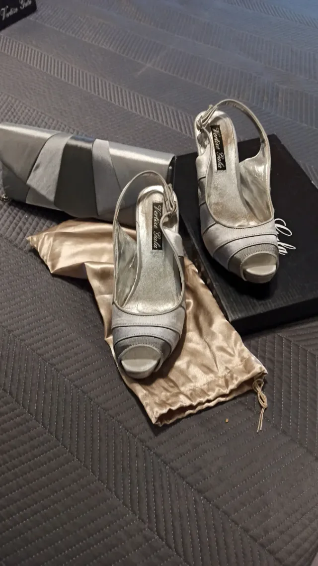 Bolso y zapatos de fiesta plateados